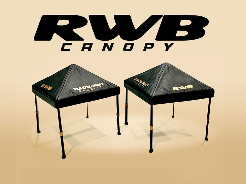 "RWB (RAUH-Welt BEGRIFF)" Canopy 2 Piece Set Black Limited Edition for 1/64 Scale Models by American Diorama-0