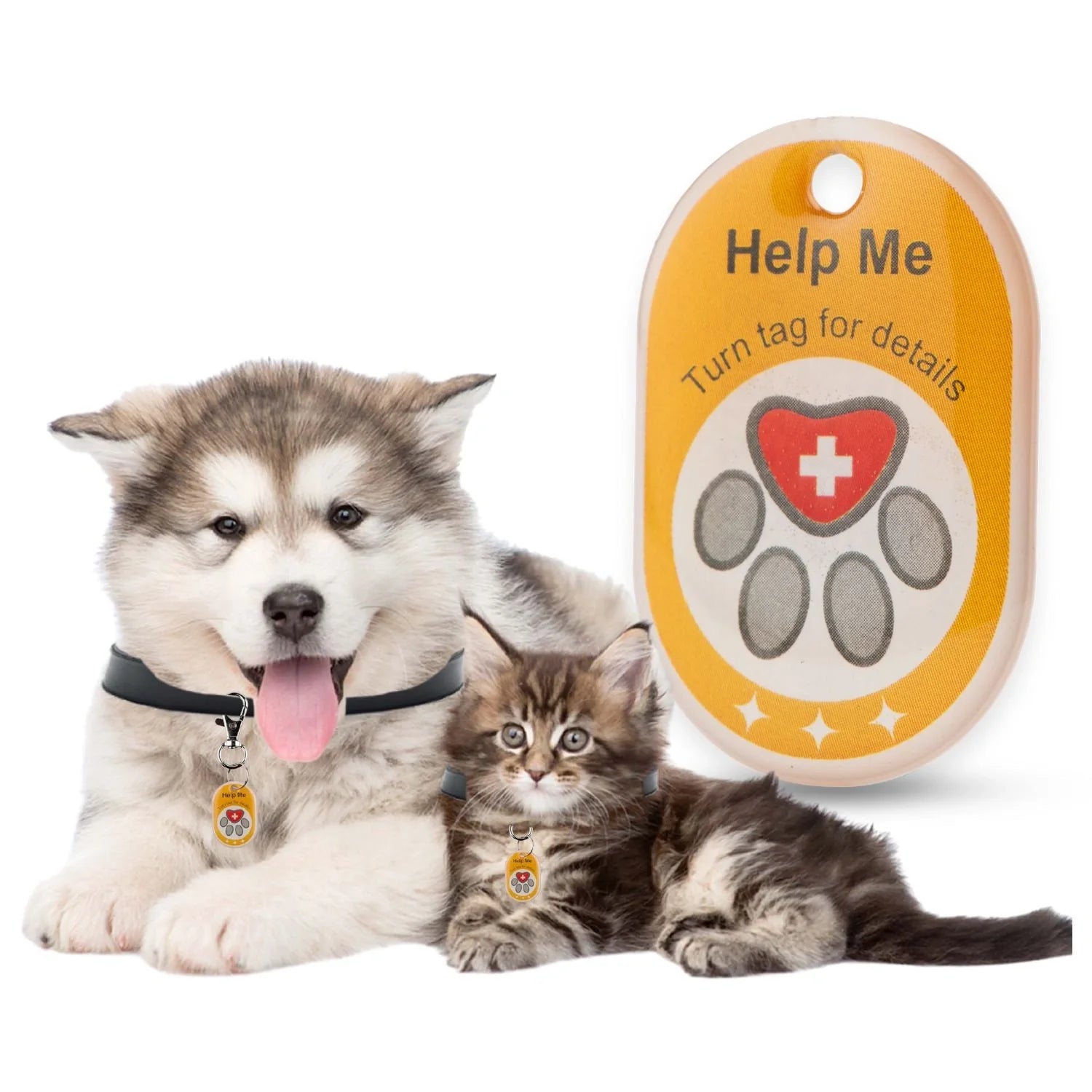 Genie Pet Tag-0